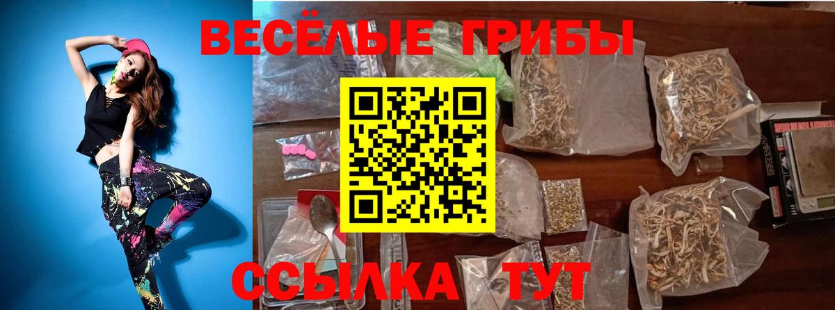 Калач-на-Дону  Галлюциногенные грибы Magic Shrooms  Вход с VPN  Галлюциногенные грибы Psilocybe 